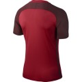 nike-football-jersey-kurzarm-trikot-833017-657-rot~4.jpg