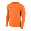 bluza-bramkarska-nike-dry-park-iii-803.jpg