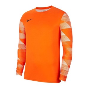 Bluza bramkarska Nike Dry Park IV JSY LS GK CJ6066