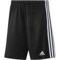 pol_pl_spodenki-ADIDAS-SQUADRA21-GN5776-264328_1.jpg