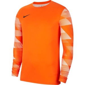 Bluza bramkarska Nike Park IV