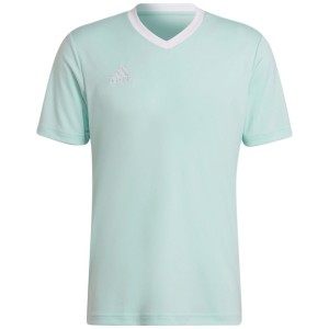 Koszulka Piłkarska Adidas Entrada 22 miętowa HC5073