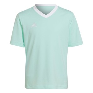Koszulka dla dzieci adidas Entrada 22 miętowa HC5078