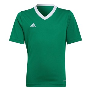 Koszulka dla dzieci adidas Entrada 22 zielona HI2126