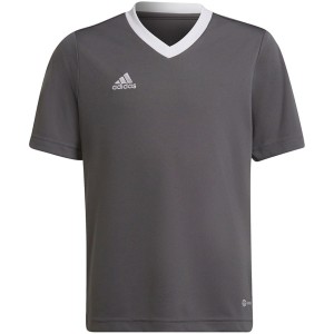 Koszulka dla dzieci adidas Entrada 22 szara H57499
