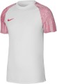 nike-dri-fit-academy-421245-dh8031-100.jpg