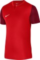 nike-m-nk-df-trophy-v-jsy-ss-553181-dr0933-657.jpg