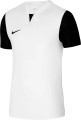 nike-m-nk-df-trophy-v-jsy-ss-553191-dr0933-100.jpg