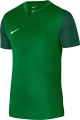 nike-m-nk-df-trophy-v-jsy-ss-553189-dr0933-302.jpg