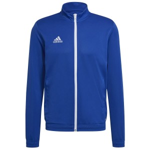 Bluza Adidas Entrada 22 junior