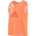 z1.png